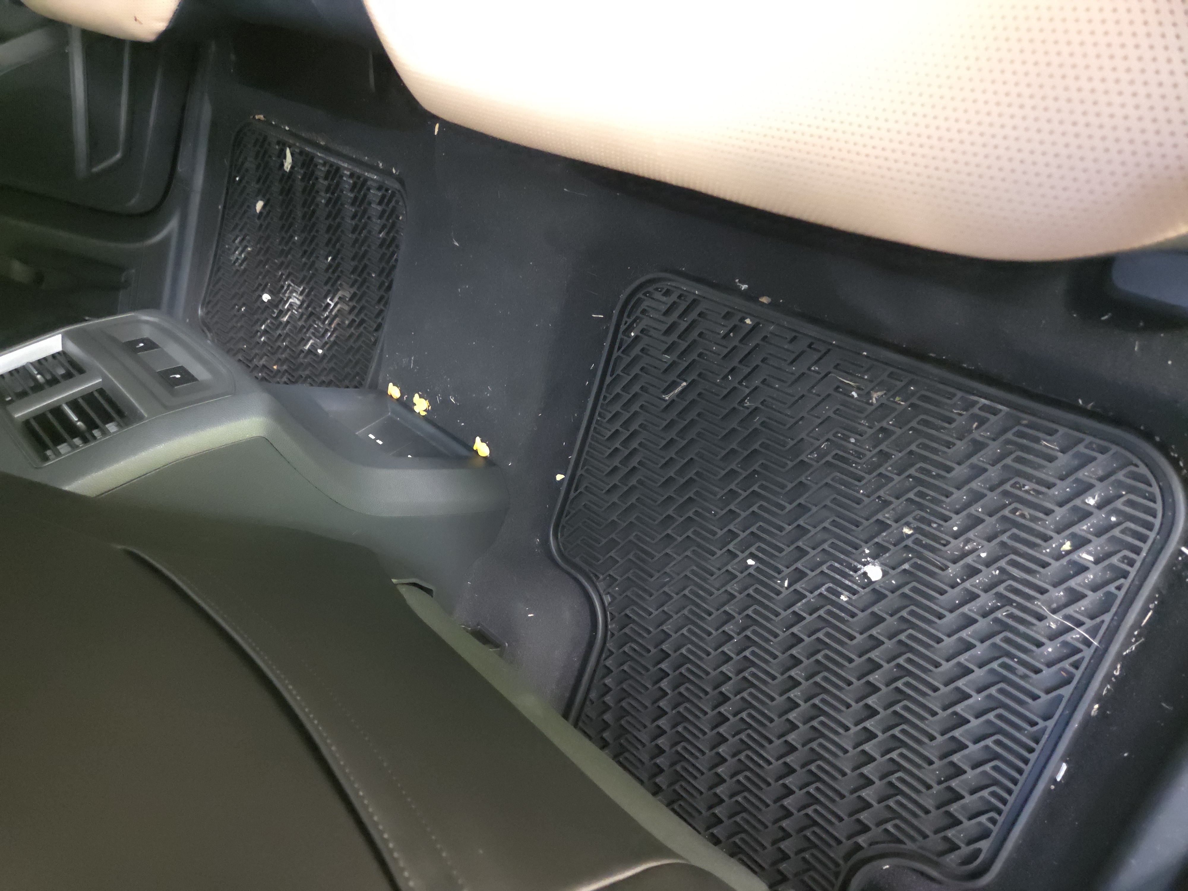 Interior rear mats before detail — Southern Cut Detailing