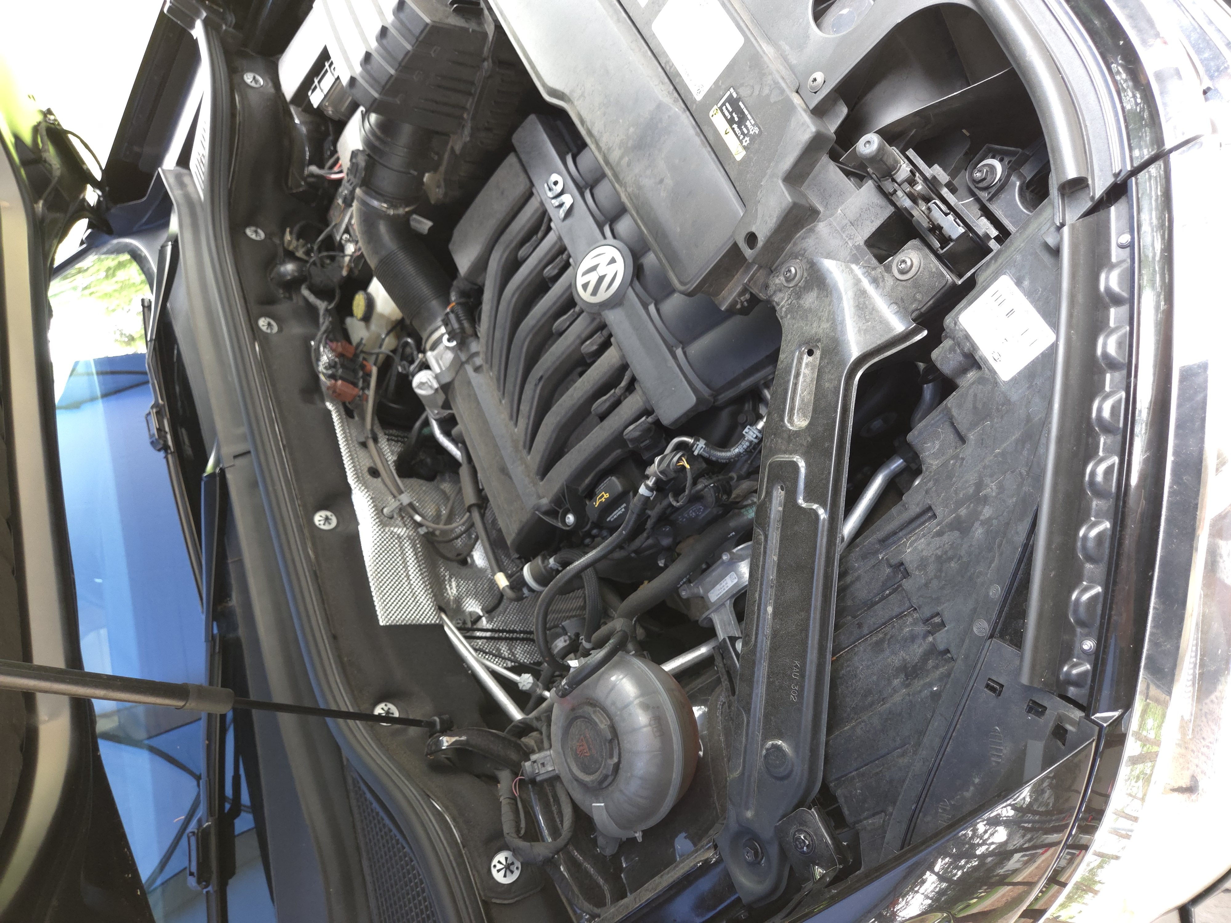 Engine bay before cleaning — Southern Cut Detailing