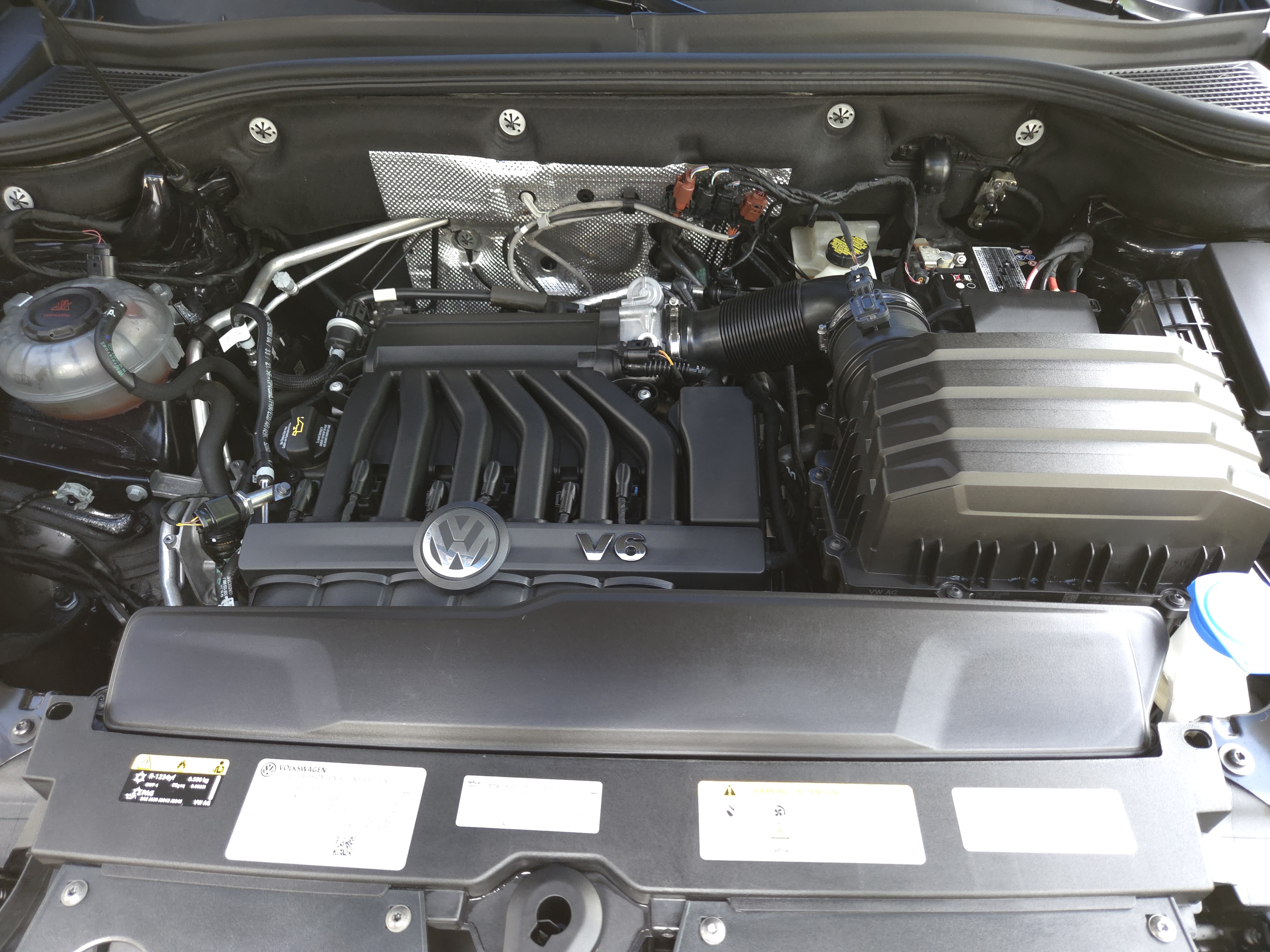 Engine bay after cleaning — Southern Cut Detailing